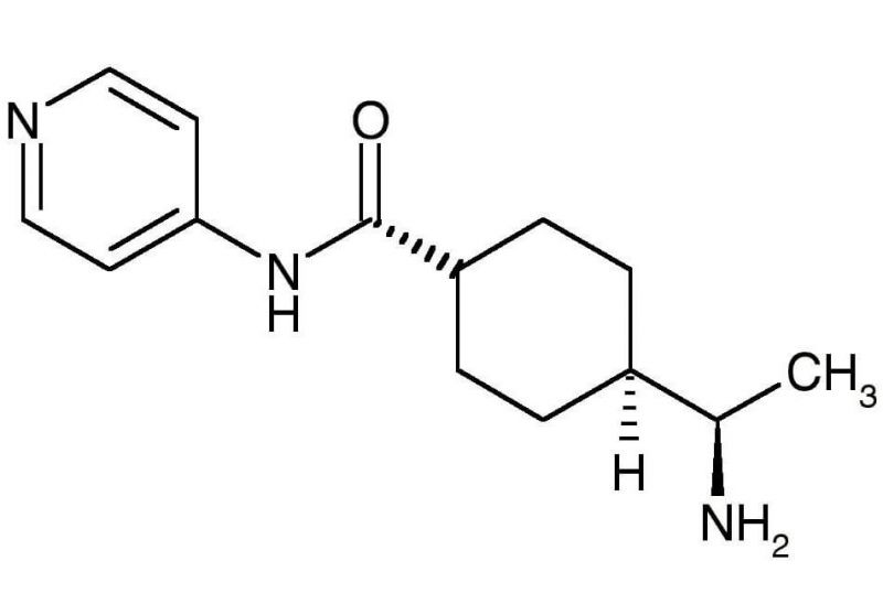 Structure of Y‑27632